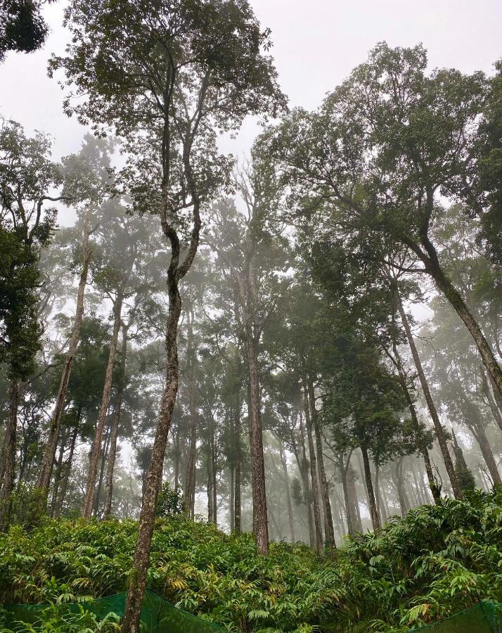 Flower Valley Plantation Homestay Munnar Exterior photo